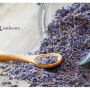 🌿 Lavanda za miran san – prirodan put do spokoja